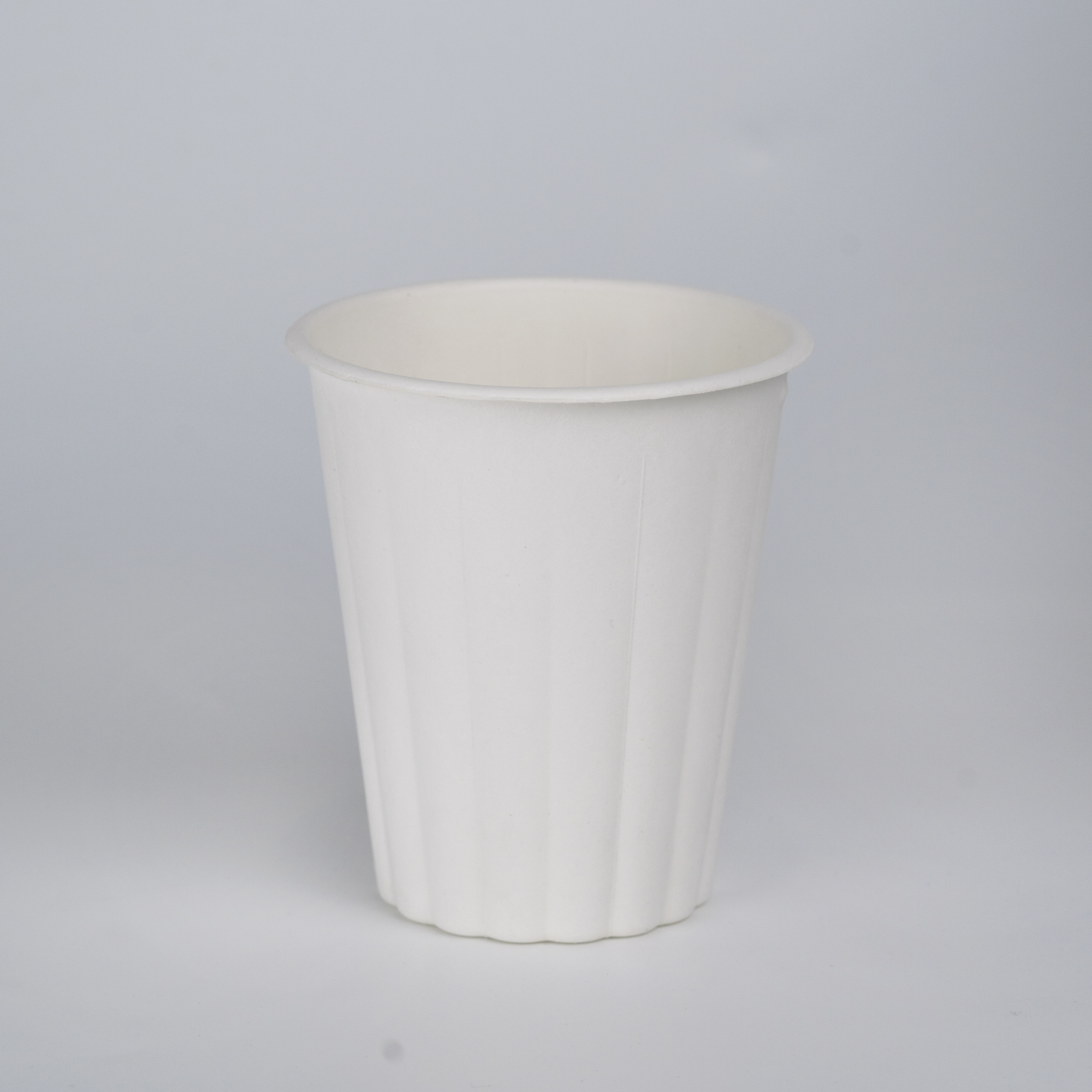 ZhibenGroup.com-12oz bagasse cup